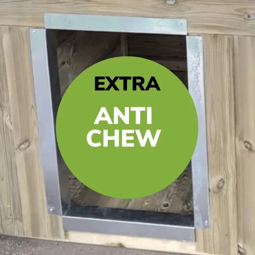 Anti Chew