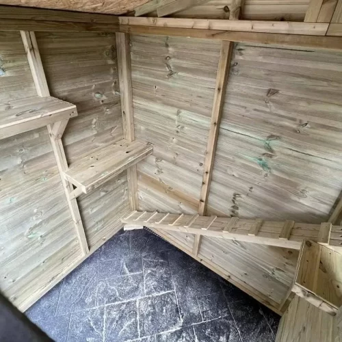 Cattery small inside