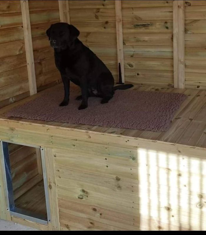 Satisfied Client on thier Bed Box